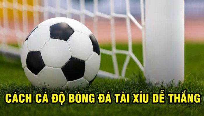 Các bước đặt cược kèo 2.75 tại nhà cái