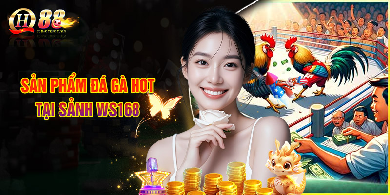 Sảnh Ws168 - Bắt Trọn Khoảnh Khắc Chiến Đấu Kịch Tính 3 Sản Phẩm Đá Gà Hot Tại Sảnh Ws168