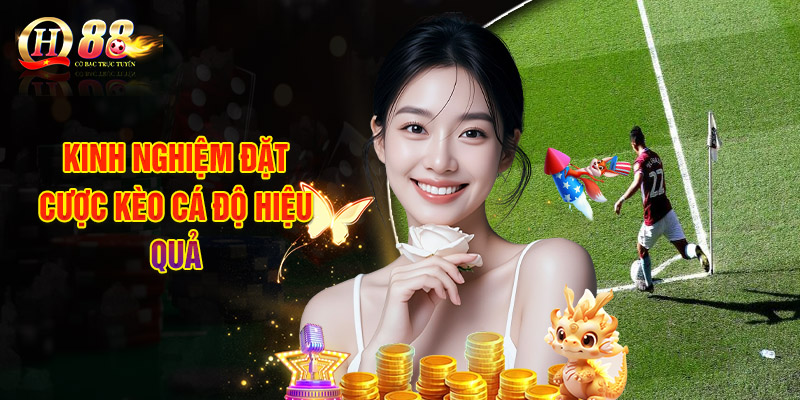 Kinh Nghiệm Đặt Cược Kèo Cá Độ Hiệu Quả