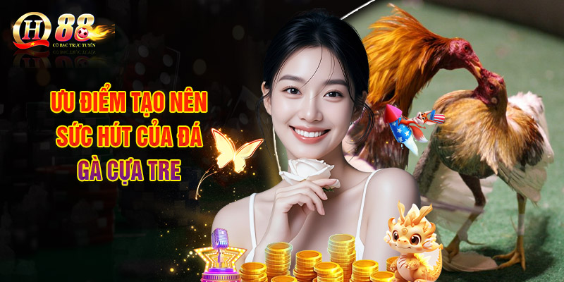 Đá Gà Cựa Tre QH88 - Đấu Trường Cho Những Chiến Kê Đỉnh Cao 2 Ưu điểm tạo nên sức hút của đá gà cựa tre
