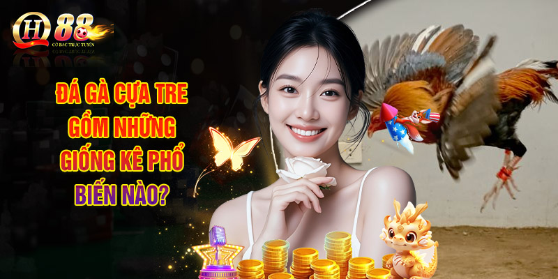 Đá gà cựa tre gồm những giống kê phổ biến nào?