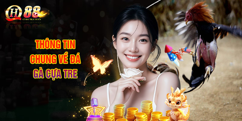 Đá Gà Cựa Tre QH88 - Đấu Trường Cho Những Chiến Kê Đỉnh Cao 1 Thông tin chung về đá gà cựa tre