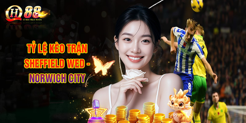 Nhận Định Sheffield Wed - Norwich City, Đọc Tỷ Lệ Soi Kèo 3 Tỷ Lệ Kèo Trận Sheffield Wed - Norwich City